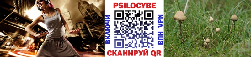 Галлюциногенные грибы MAGIC MUSHROOMS  Дзержинский 